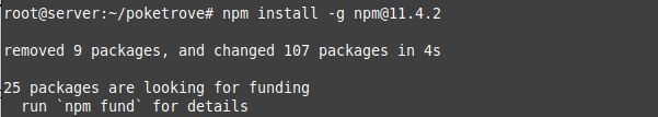 Install_NPM_Ver_11.png
